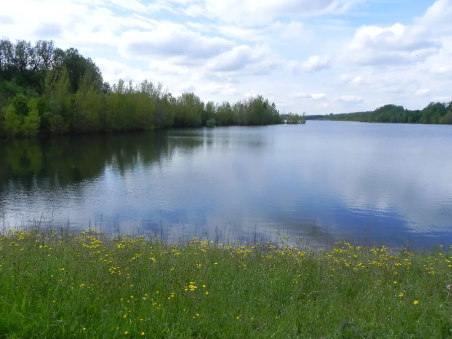 Lieu de pêche Lac de lescouroux - Soumensac (47 - Lot et Garonne)