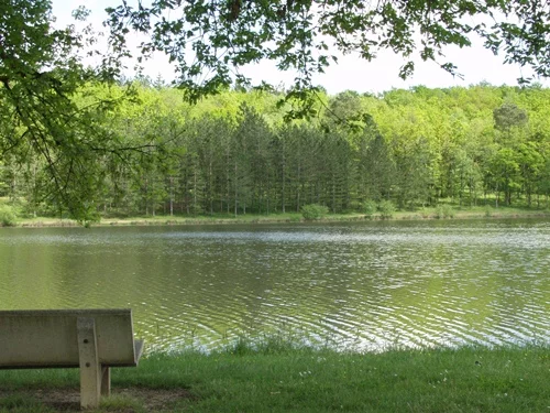 Lieu de pêche Lac du saut du loup - Miramont-de-guyenne (47 - Lot et Garonne)