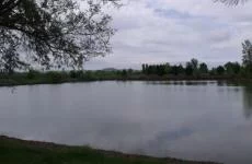 Lieu de pêche Etangs de lacombe - Sainte-livrade-sur-lot (47 - Lot et Garonne)