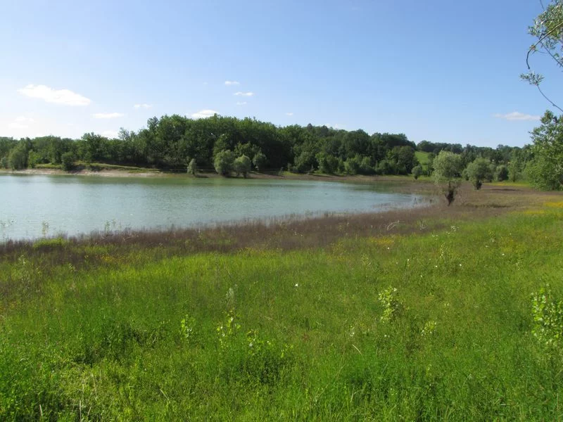 Lieu de pêche Lac du brayssou - Tourliac (47 - Lot et Garonne)