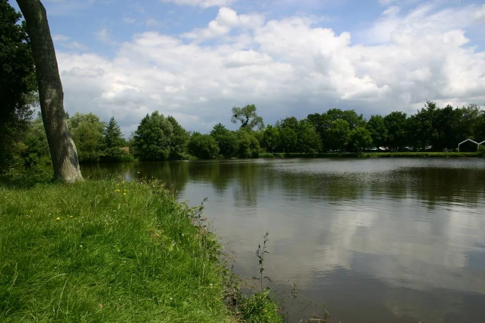 Lieu de pêche Etang des sarcelles - Saint-martin-d'aubigny (50 - Manche)
