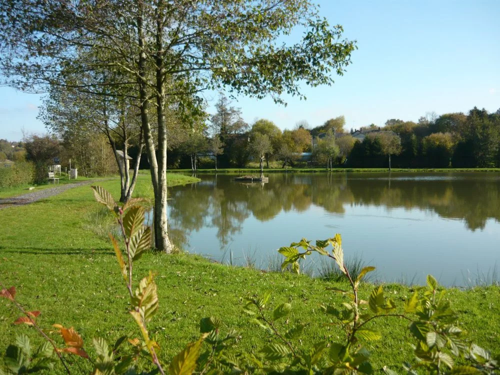 Lieu de pêche Etang de marigny - Marigny (50 - Manche)