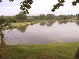 Lieu de pêche Etang du bas de cattigny - Bricquebec (50 - Manche)
