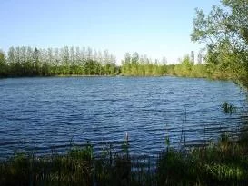 Lieu de pêche Etang du nil et etang du petit nil - Barbonville (54 - Meurthe et Moselle)