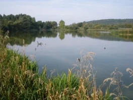 Lieu de pêche Etang du poncet - Dombasle-sur-meurthe (54 - Meurthe et Moselle)