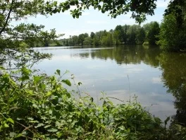 Lieu de pêche Etang de bayon n°1 et n° 2 - Roville-devant-bayon (54 - Meurthe et Moselle)