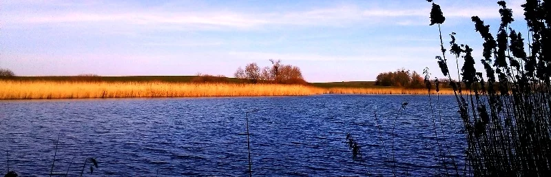 Lieu de pêche Etang de parroy - Parroy (54 - Meurthe et Moselle)