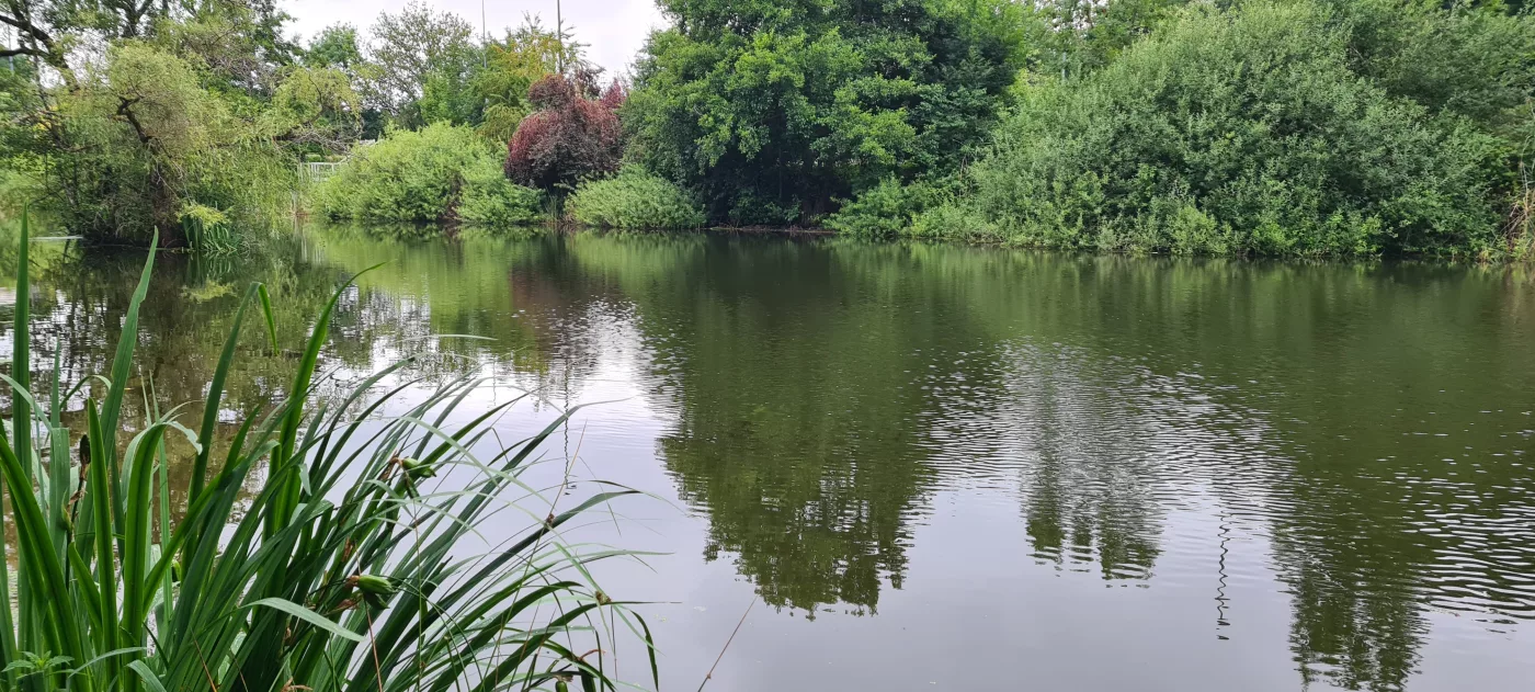 Étang : Bassin de la sance à Villers les nancy, parcours de pêche en eau douce en Meurthe et Moselle