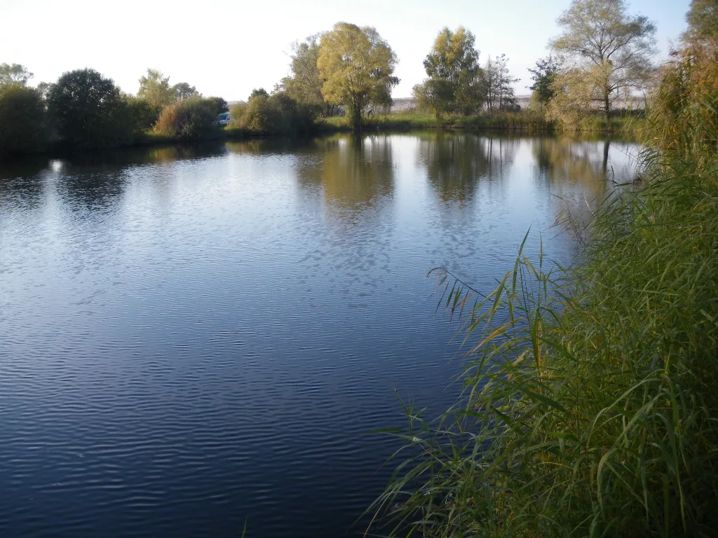 Étang : Pâtis haxaire à Vigneulles, parcours de pêche en eau douce en Meurthe et Moselle