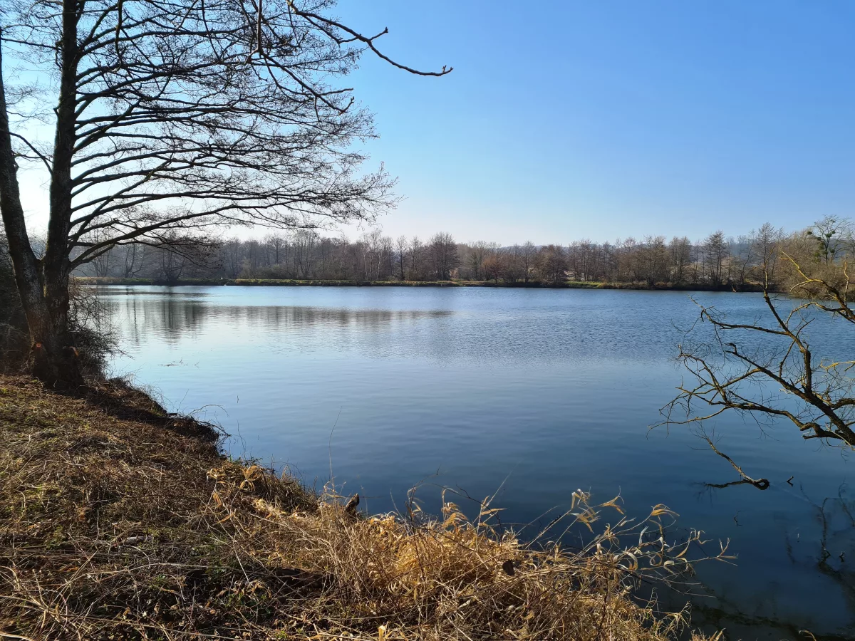 Étang : Haut saussy n°1 et n°3 à Velle sur moselle, parcours de pêche en eau douce en Meurthe et Moselle