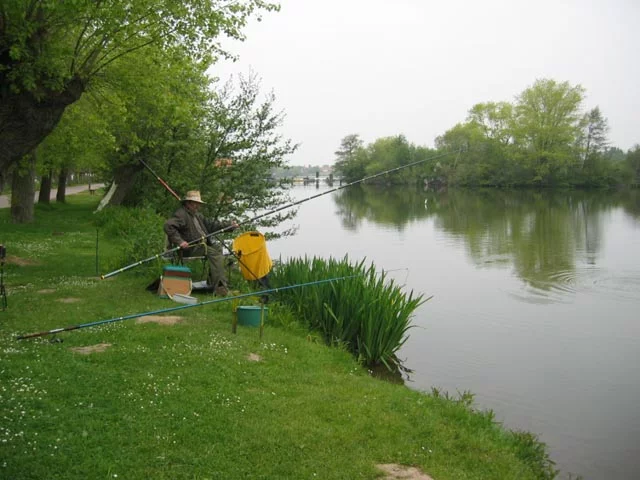 Lieu de pêche Lac d'ardres - Ardres (62 - Pas de Calais)