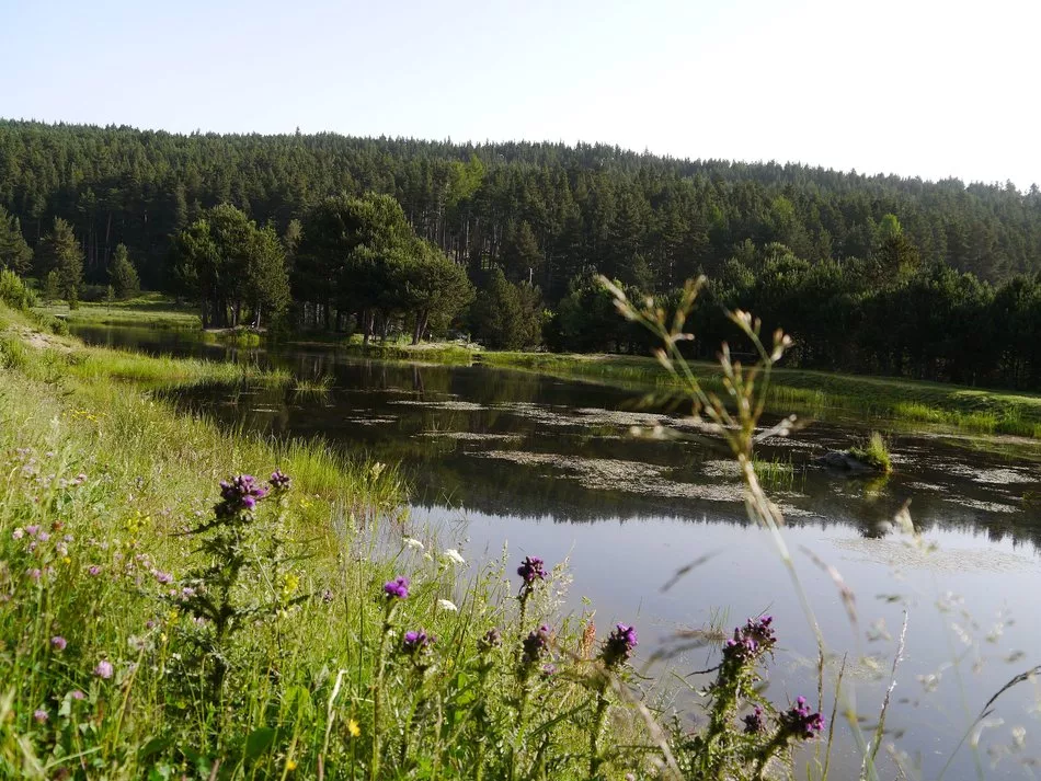 Lac : Lac de l'olive à Formiguères, parcours de pêche en eau douce en Pyrénées Orientales