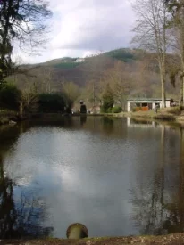Étang : L'étang du schlosswald à Munster, parcours de pêche en eau douce en Haut Rhin