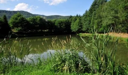 Lieu de pêche Les 2 étangs de saint -gangolphe - Lautenbach (68 - Haut Rhin)