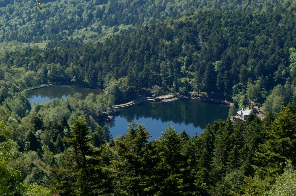 Lieu de pêche Etang du grand et petit neuweiher - Oberbruck (68 - Haut Rhin)
