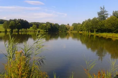 Étang : L'étang lucie d'hagenbach à Hagenbach, parcours de pêche en eau douce en Haut Rhin