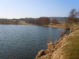 Lieu de pêche Plan d'eau de leimbach - Leimbach (68 - Haut Rhin)