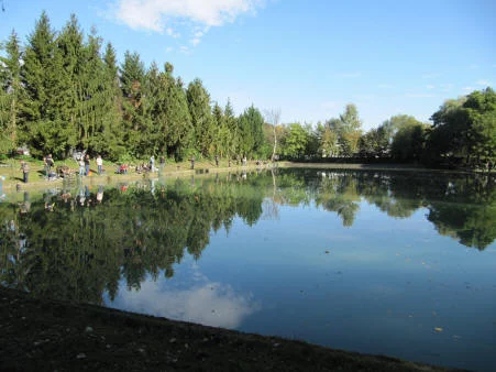 Étang : L'etang du bitz à brunstatt à Brunstatt, parcours de pêche en eau douce en Haut Rhin