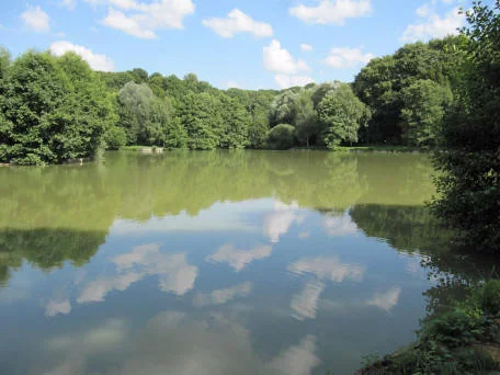 Lieu de pêche L'etang gaertner à steinbrunn-le-haut - Steinbrunn-le-haut (68 - Haut Rhin)