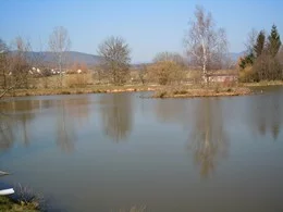 Lieu de pêche Les étangs les saules et les aulnes - Leimbach (68 - Haut Rhin)