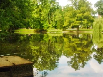 Lieu de pêche L'étang du parc de la fecht - Munster (68 - Haut Rhin)