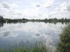 Lieu de pêche Étang mollet - Lure (70 - Haute Saône)