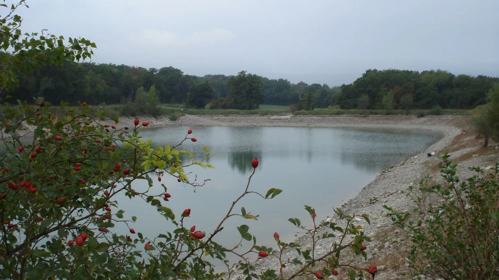 Lieu de pêche Lac de chenex - Valleiry (74 - Haute Savoie)
