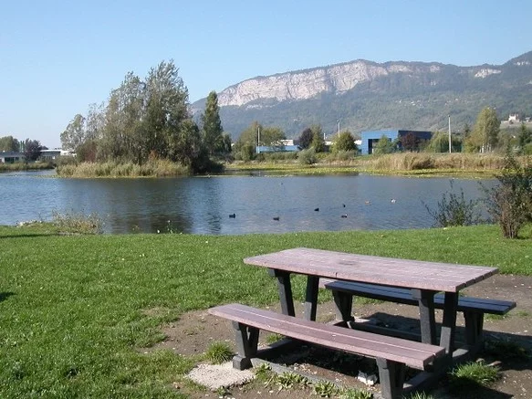 Lieu de pêche Lac de la motte - Bonneville (74 - Haute Savoie)