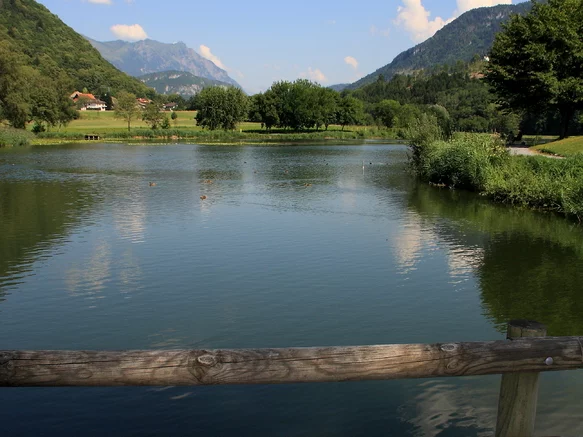 Lieu de pêche Lac du môle - La tour (74 - Haute Savoie)