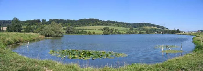 Lieu de pêche Etang de saint-aubin-le-cauf - Saint-aubin-le-cauf (76 - Seine Maritime)