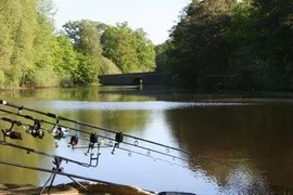 Lieu de pêche Etang le coupe gorge - Rambouillet (78 - Yvelines)