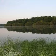 Lieu de pêche L'etang la tour - Vieille-église-en-yvelines (78 - Yvelines)