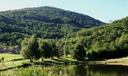 Lieu de pêche Plan d'eau d'albine - Albine (81 - Tarn)