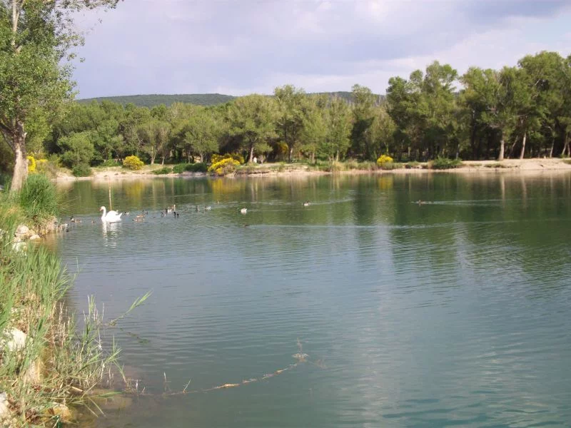 Étang : L'etang de bel-air à Sainte-cécile-les-vignes, parcours de pêche en eau douce en Vaucluse