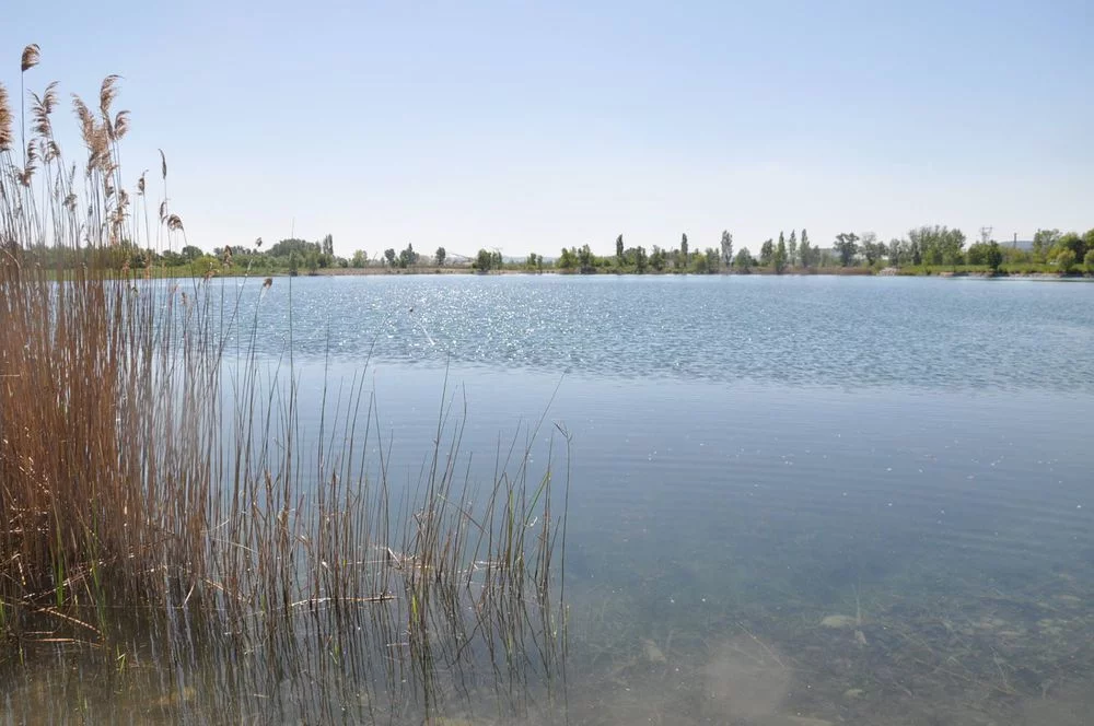 Lieu de pêche Lac li piboulo - Piolenc (84 - Vaucluse)
